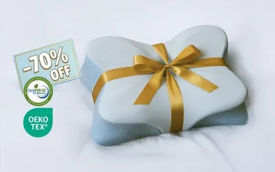derila ergo pillow